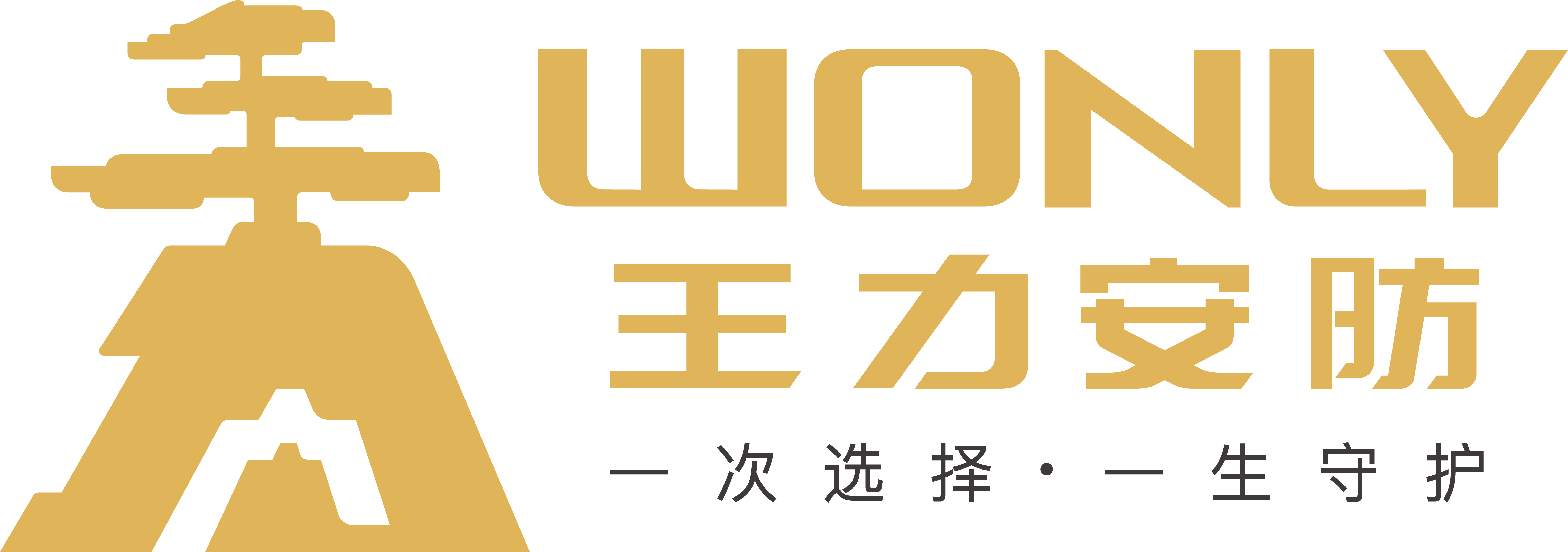 王力安全门logo图片